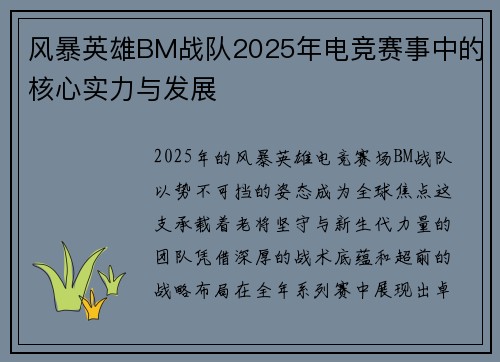 风暴英雄BM战队2025年电竞赛事中的核心实力与发展