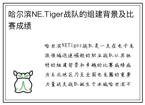 哈尔滨NE.Tiger战队的组建背景及比赛成绩